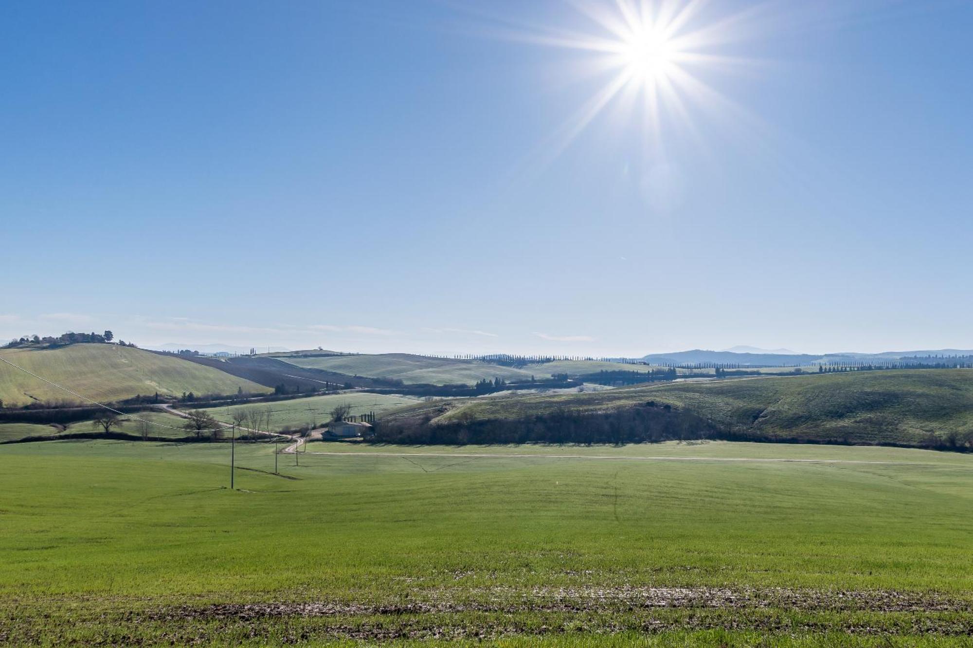 Sunflower Con Vista Su Siena Βίλα Corsano  Εξωτερικό φωτογραφία