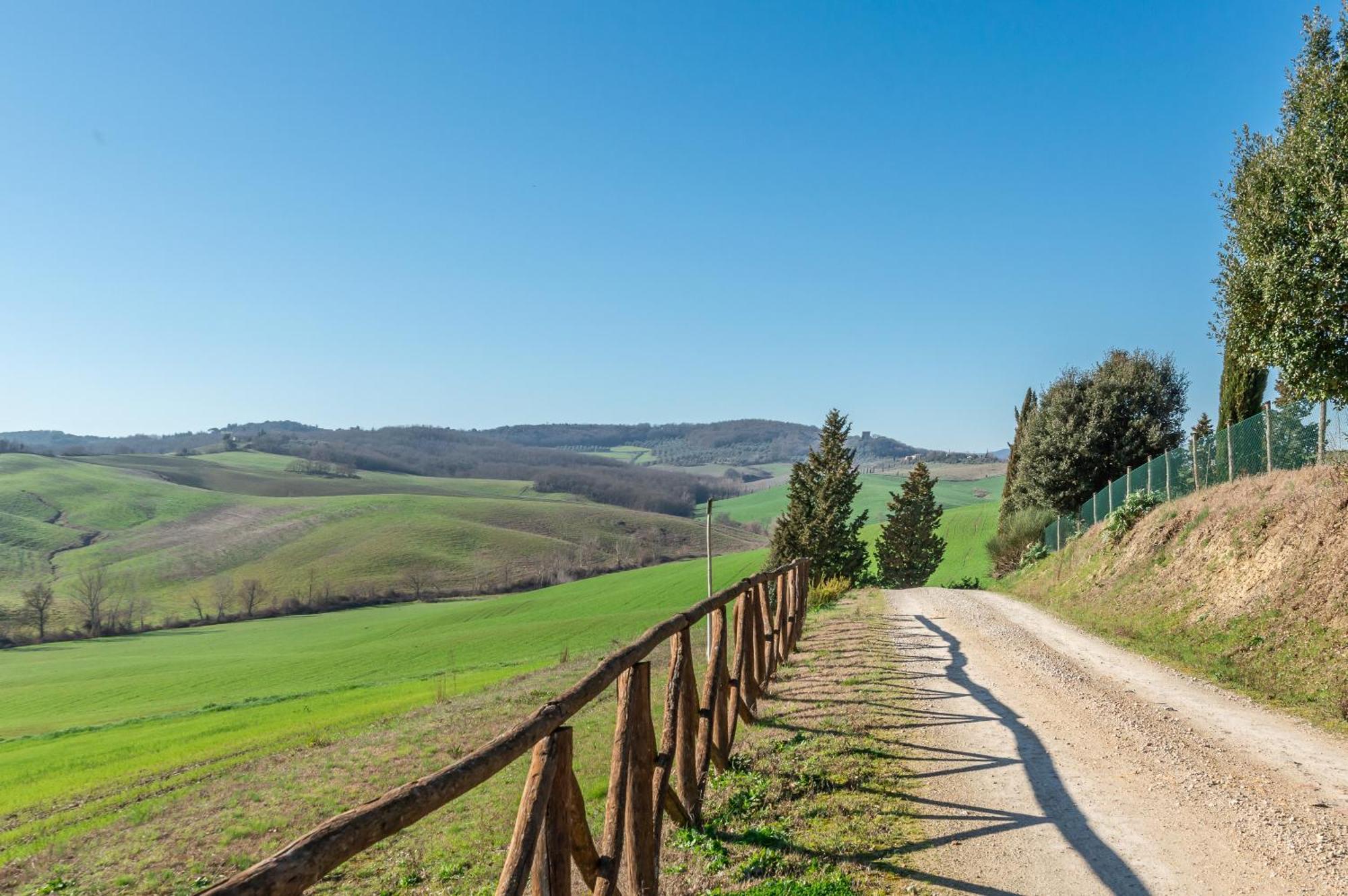 Sunflower Con Vista Su Siena Βίλα Corsano  Εξωτερικό φωτογραφία