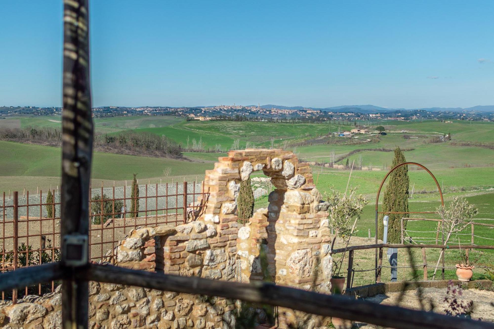 Sunflower Con Vista Su Siena Βίλα Corsano  Εξωτερικό φωτογραφία